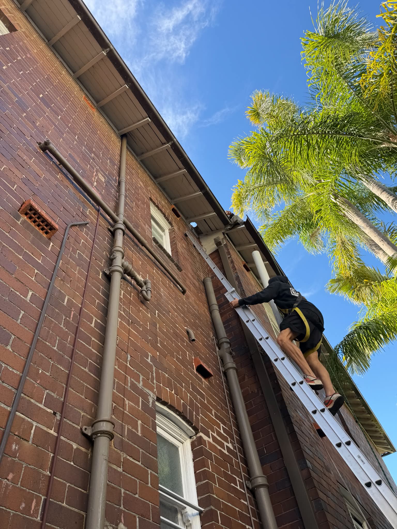 Easy Gutters and Roof team member working beside residential downpipes in Sydney